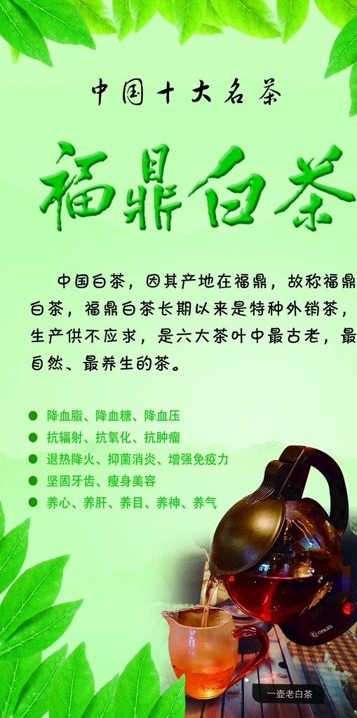 福鼎白茶
