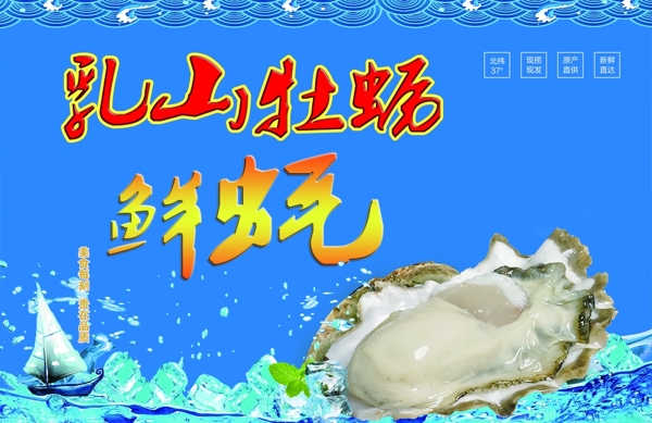 牡蛎乳山牡蛎海蛎子标签