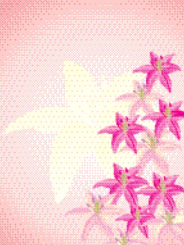 百合花矢量插圖