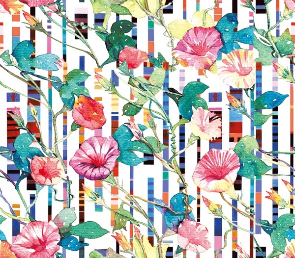 花朵圖片