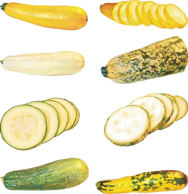 矢量蔬菜