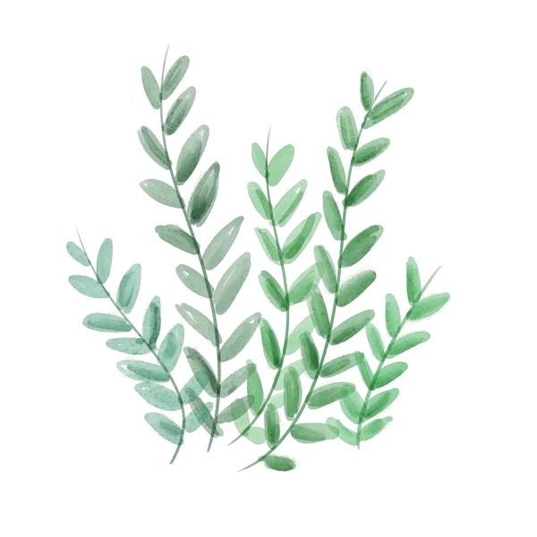 原創(chuàng)手繪水彩小清新綠色植物
