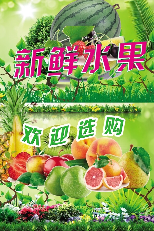 新鮮水果圖片