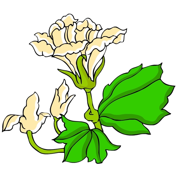 花卉古典插畫