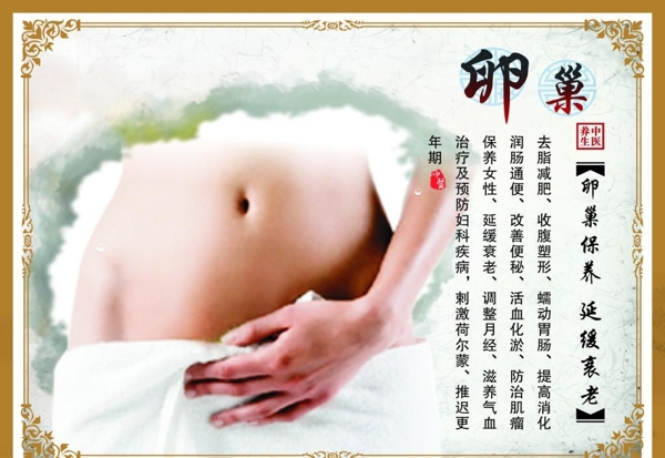 卵巢保養(yǎng)生宣傳活動模板源文件設