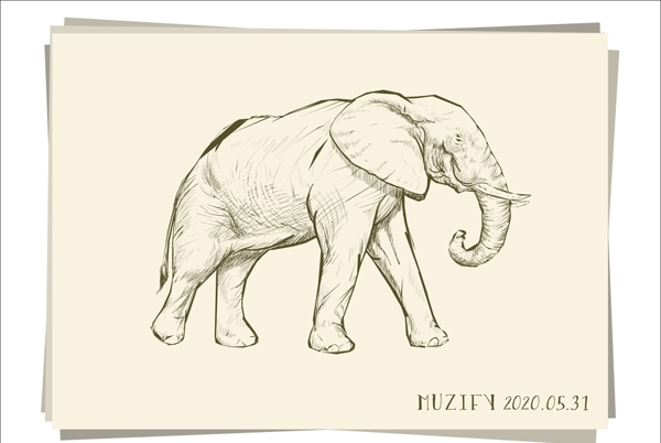 大象素描画