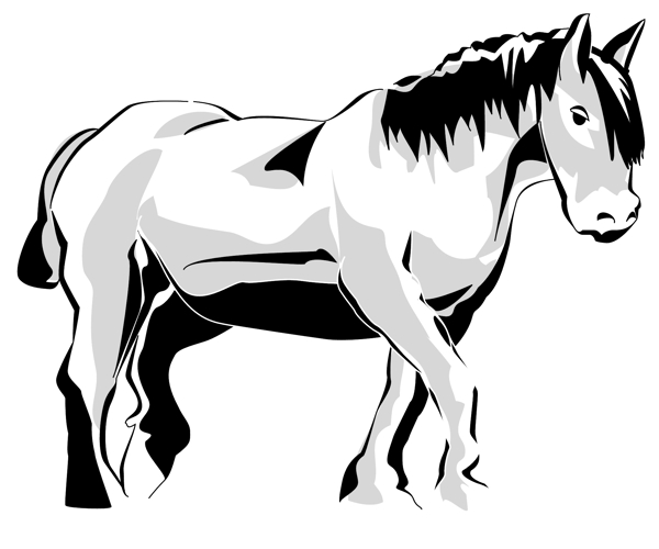 馬常見動物矢量素材EPS格式0038