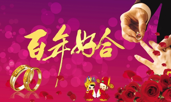 百年好合