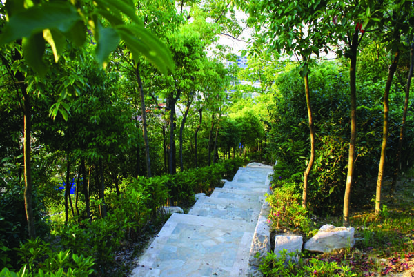 地產(chǎn)小道圖片