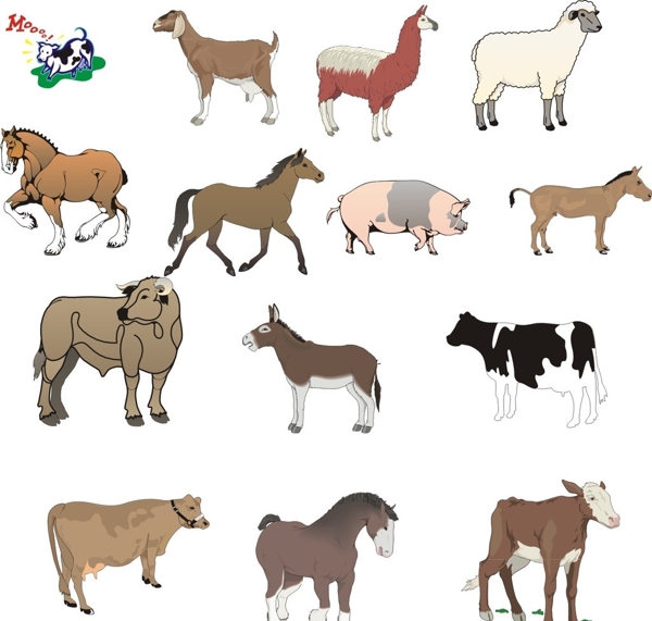 動物豬馬牛狗驢圖片