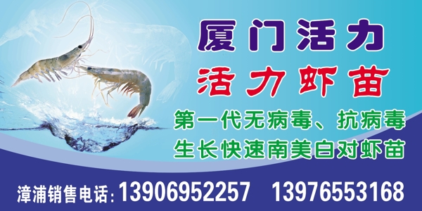 龙虾海产广告牌高清海产图片