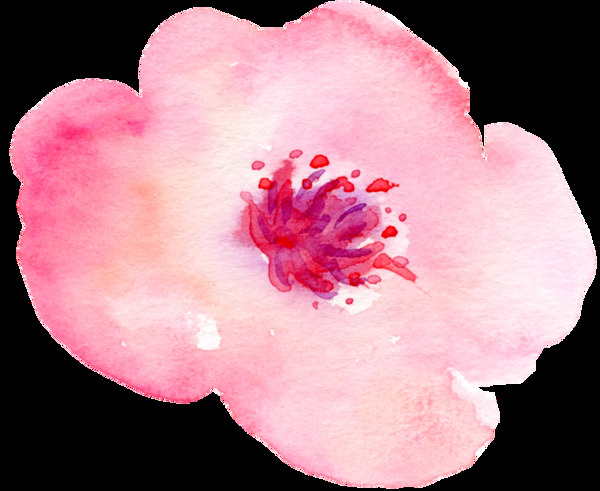 花卉元素卡通透明素材