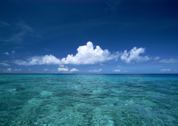 大海圖片