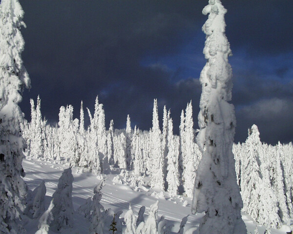 冰雪世界自然风景贴图素材JPG0300