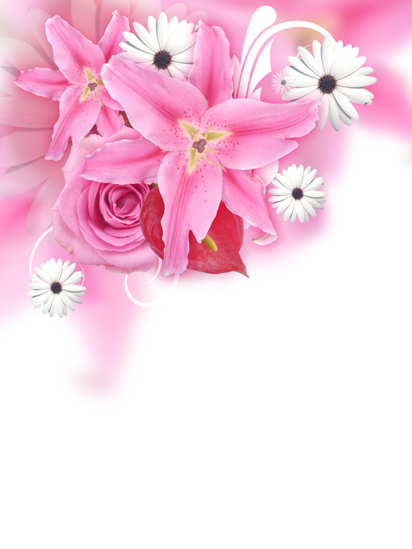 粉红色的花朵背景