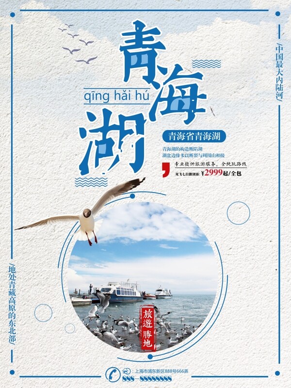 蓝色简约青海湖旅游候鸟群旅行社旅游海报