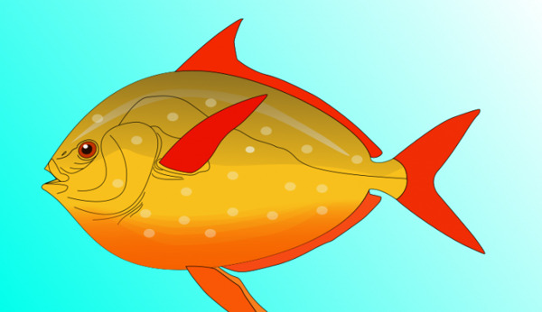 魚(yú)矢量藝術(shù)