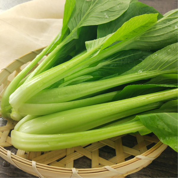 青江菜