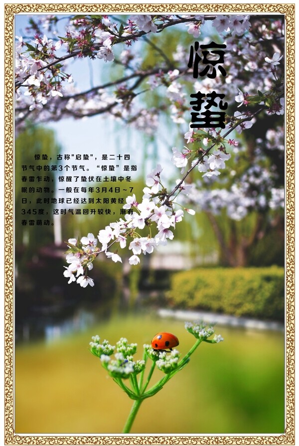 二十四節(jié)氣之驚蟄