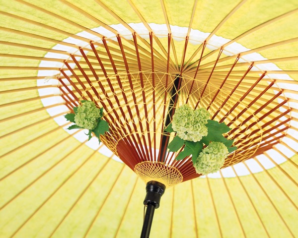 花藝圖片