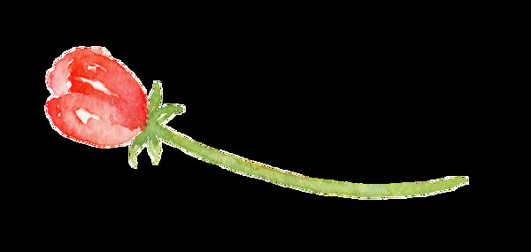 紅色花束png透明素材