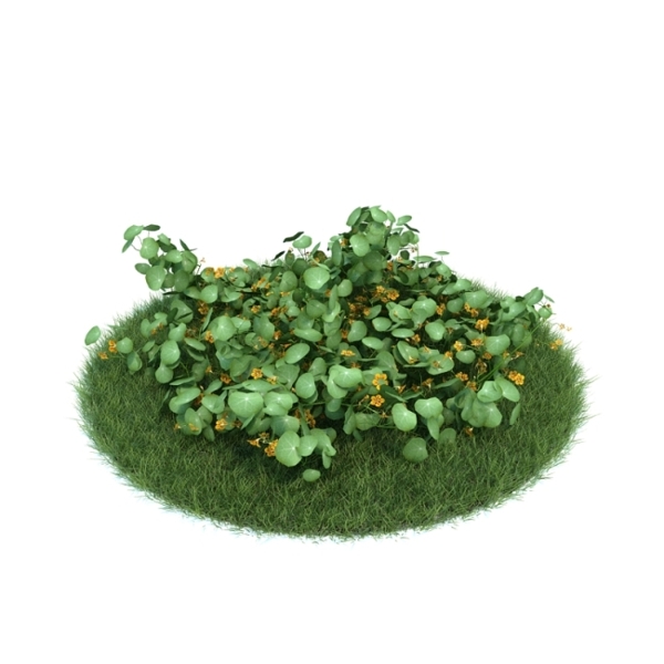 綠色植物模型