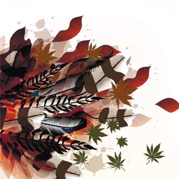 矢量羽毛