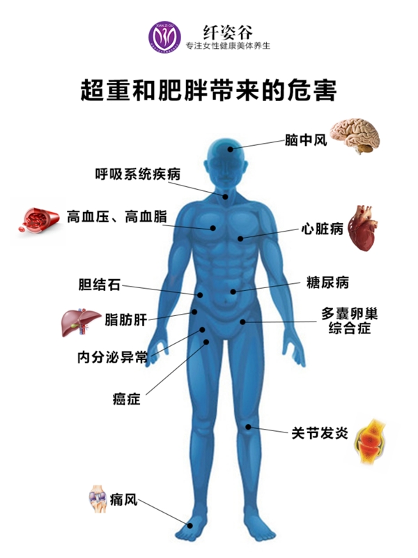 超重和肥胖的危害