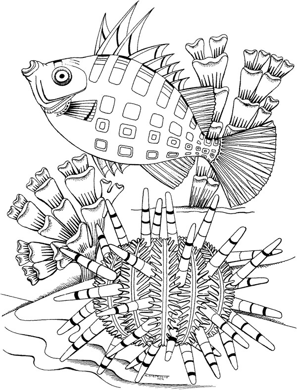 海洋生物004
