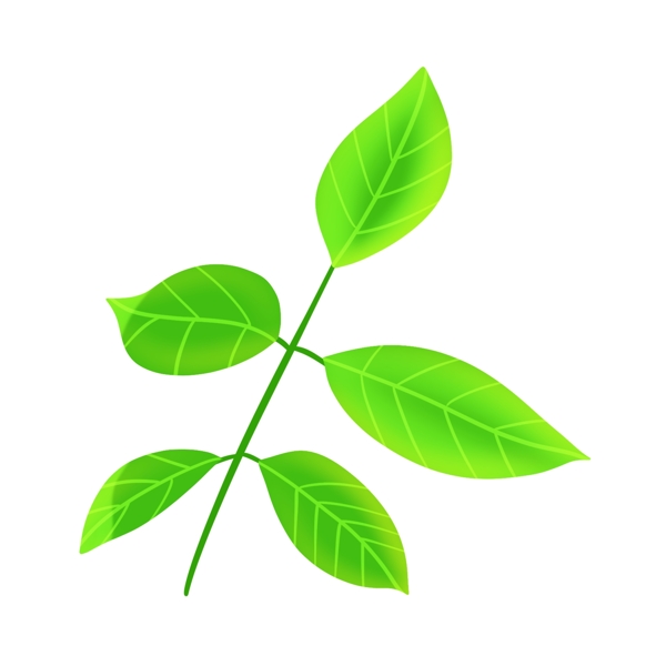 绿色绿叶植物插图
