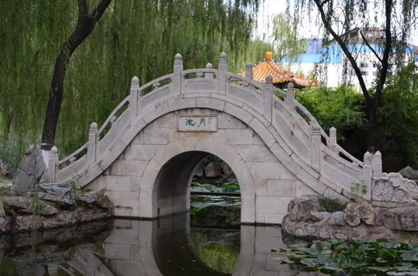 石橋圖片