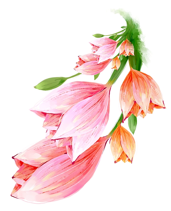 手繪花