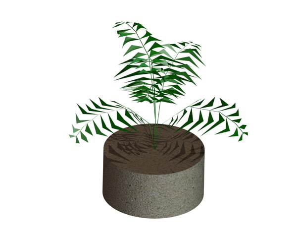室內(nèi)植物