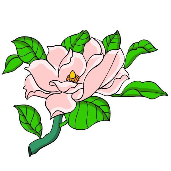 花卉古典插畫