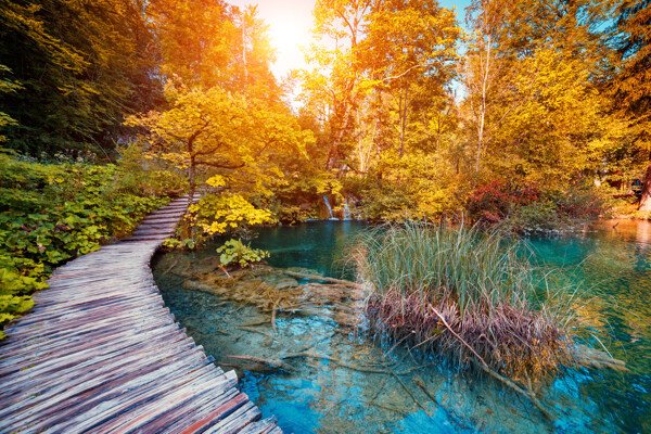 秋天树林湖泊风景