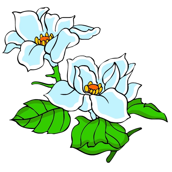 花卉古典插畫