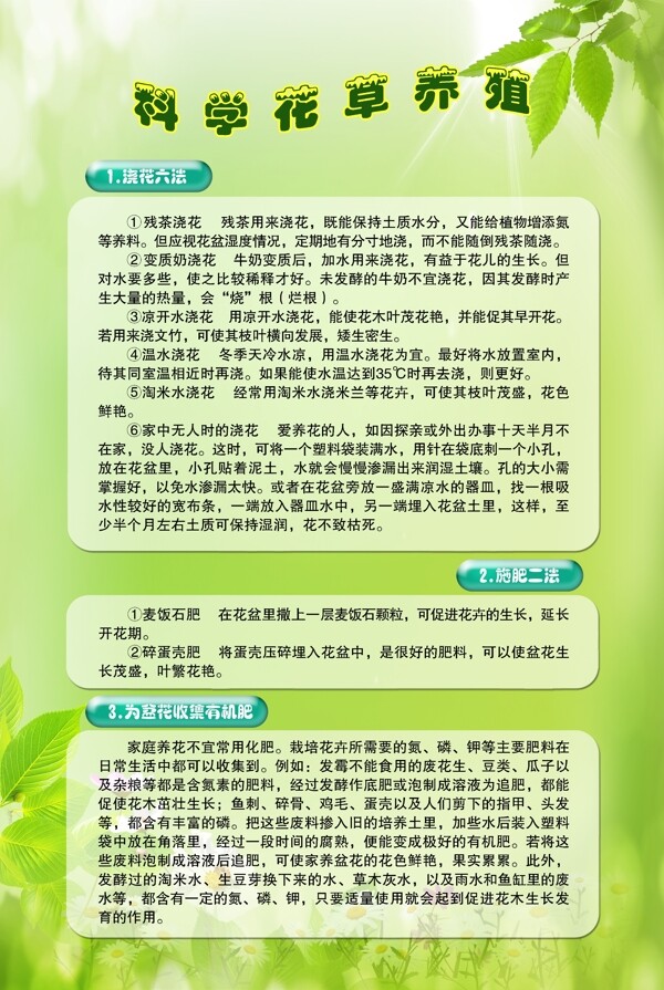 科學花草養(yǎng)殖