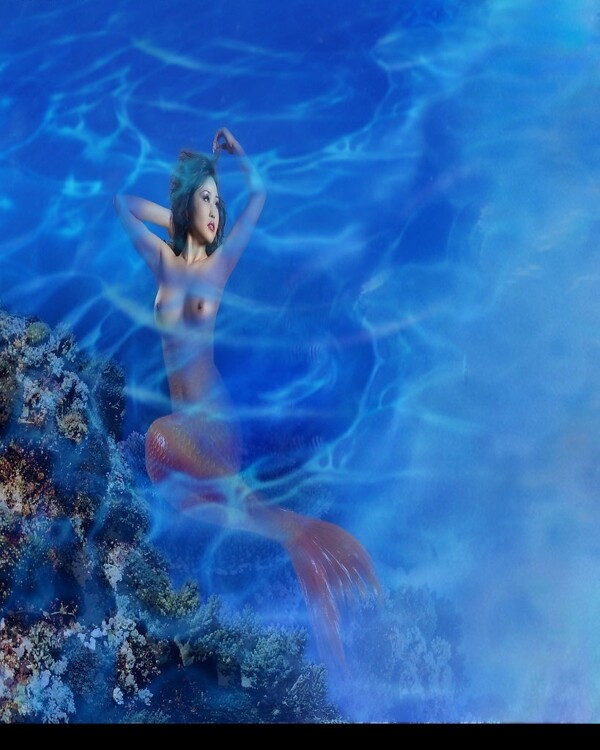 美人魚圖片