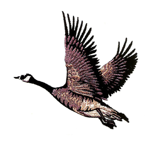 繡花動物鳥類色彩黑色免費(fèi)素材