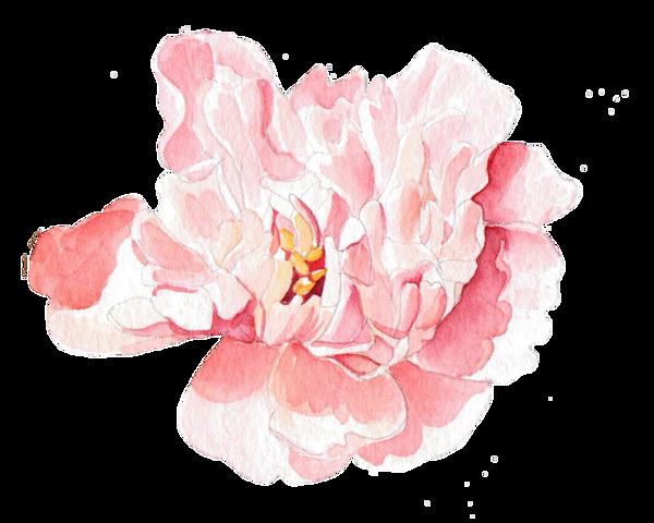 粉色花瓣透明裝飾素材