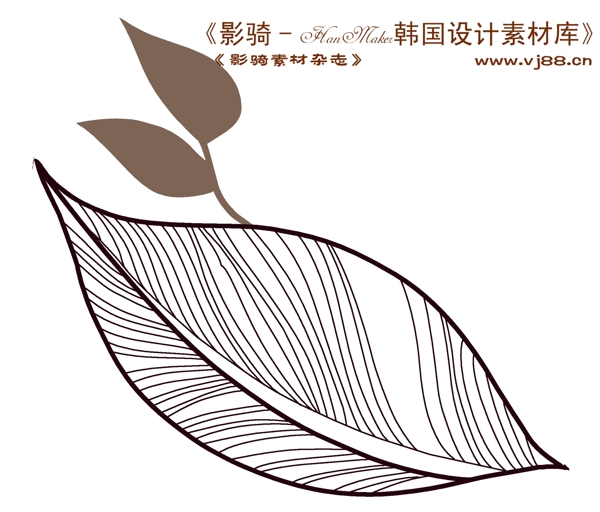 花紋花朵裝飾修飾HanMaker韓國設計素材庫