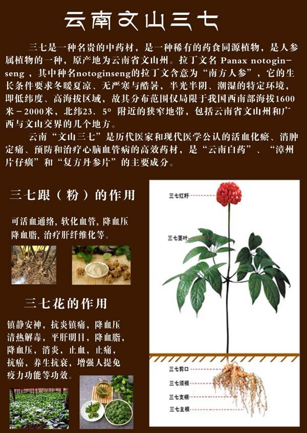 產(chǎn)品宣傳單