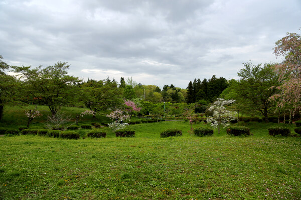 綠色風(fēng)景圖片