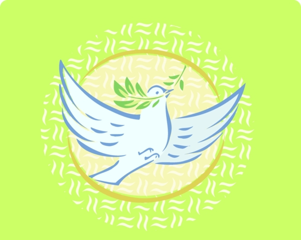 和平鴿圖片