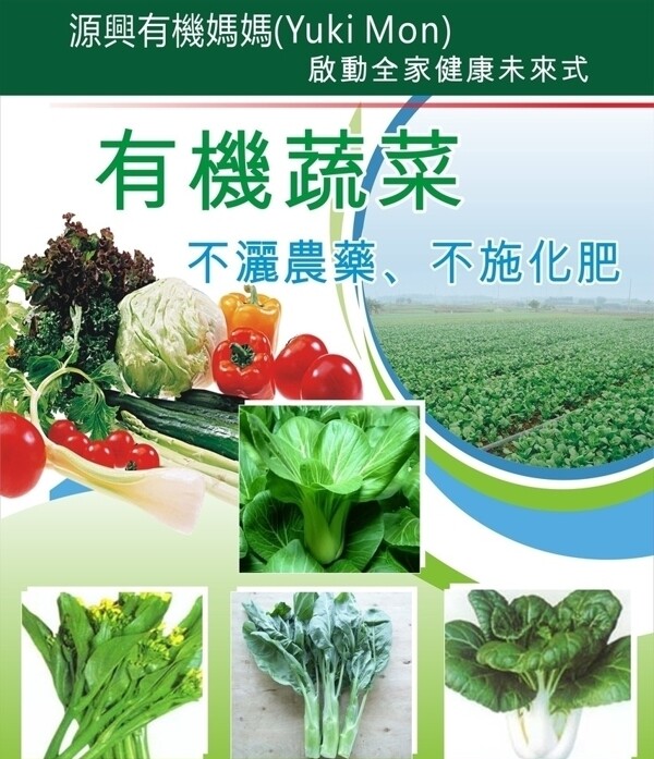 有機(jī)蔬菜圖片