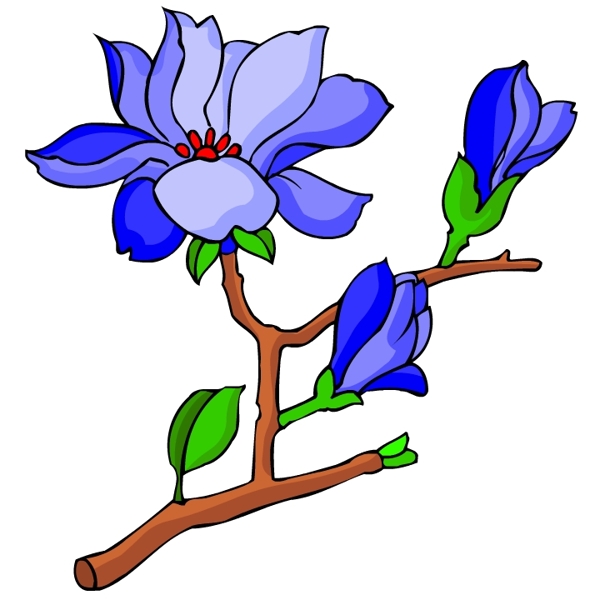 花卉古典插畫