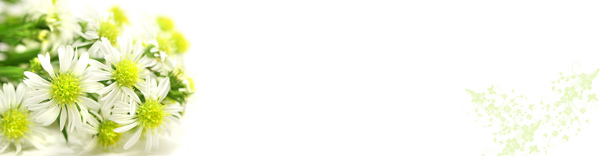 淘寶banner