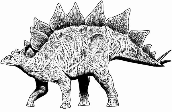 遠(yuǎn)古時(shí)代的動(dòng)物恐龍手繪畫動(dòng)物素描