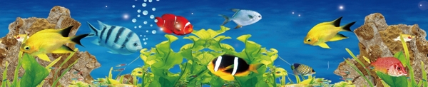 海底世界