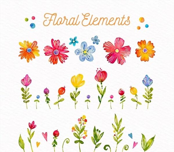 彩绘花卉和叶子图片